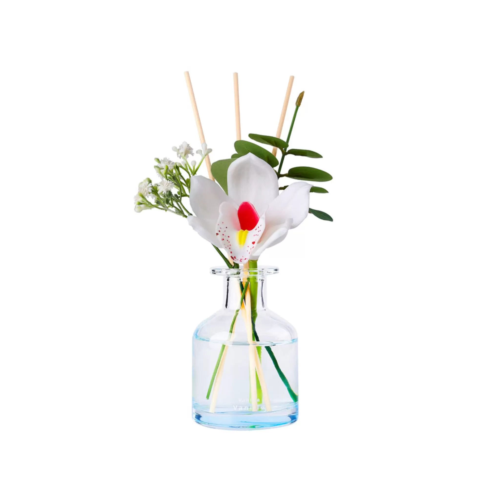MINISO Storage Box & Organizer-Floral Diffuser - Vaniglia (100Ml)